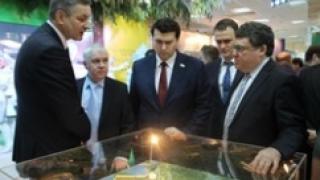 Группа "СВЕЗА" представила проект самого экологичного целлюлозного завода в мире